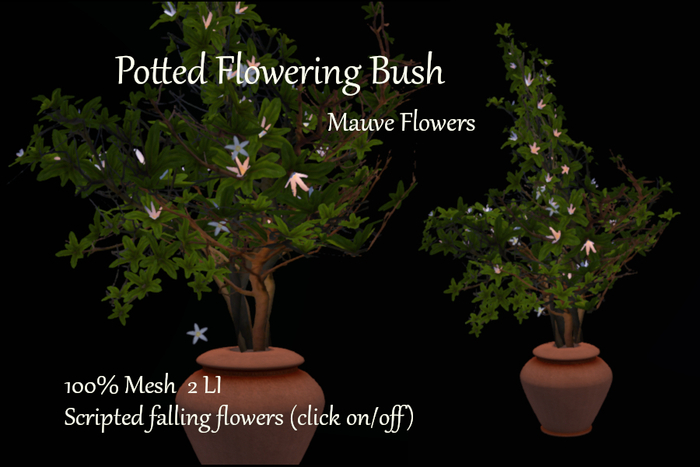 Aguas Potted Plant w Mauve Flowers Box