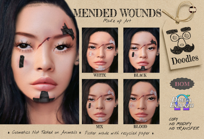 Doodles - Mended Scars Blood BOX
