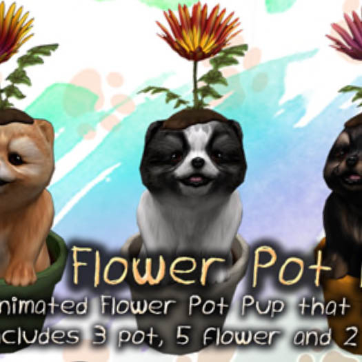 JIAN PeeWee Puffs :: Flower Bi-Color BOX