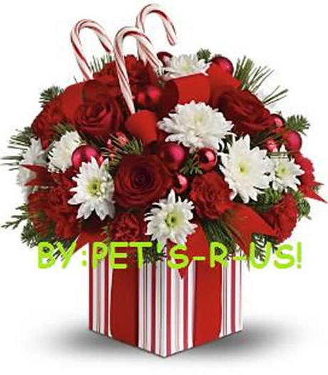 Xmas bouquet in a box