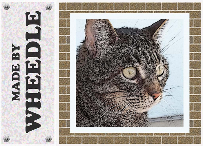 =W= Kitty - art