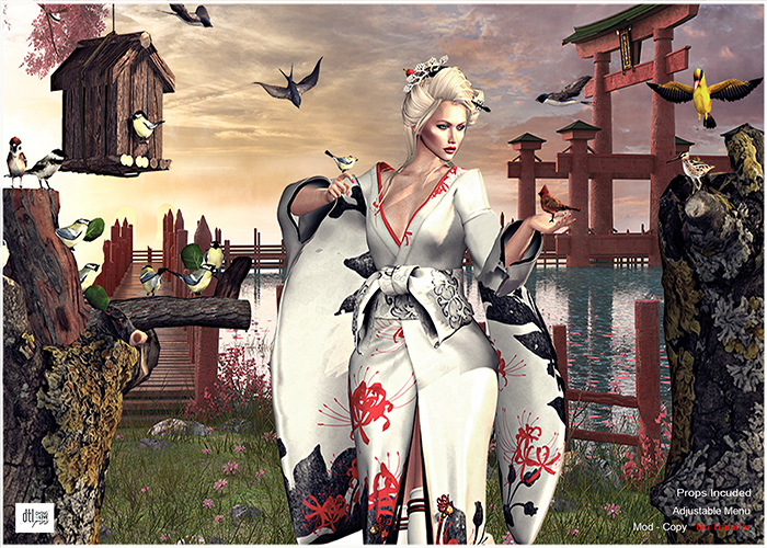 DTL Birds MP
