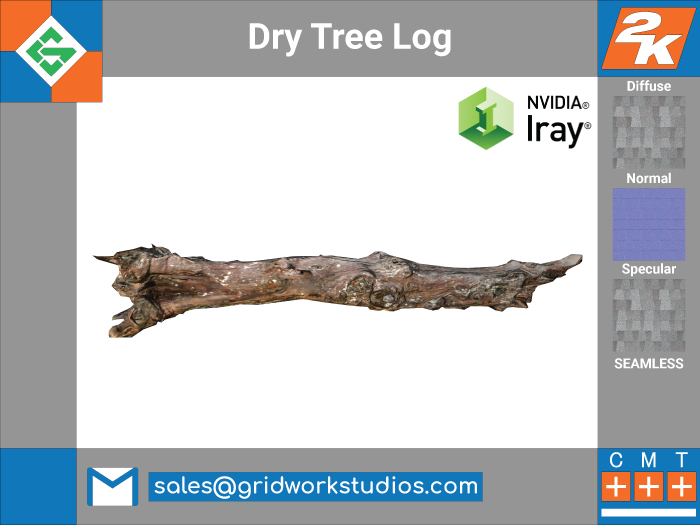 MESH: Dry Tree Log