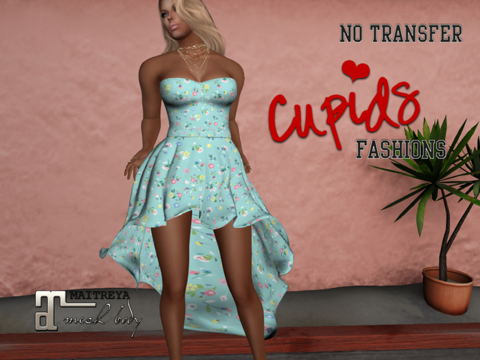 *CF* TULLE DRESS Sherry
