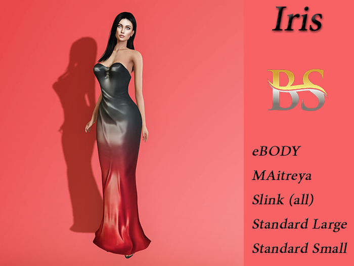 BS-Iris Dress Black/Red
