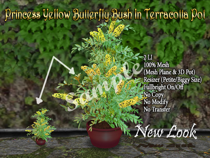 1 Prim Butterfly Bush Yellow - 50% reducer/restore