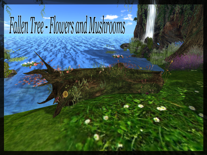 ::SA:: Fallen Tree - Flowers and Mushrooms