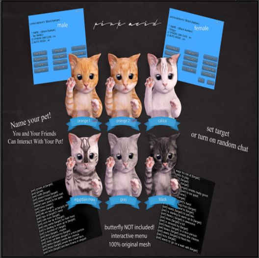 *Pink Acid Busy Kitten Female Calico