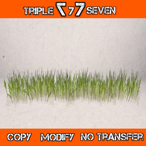TRIPLESEVEN Garden Decor  Wildflower_15