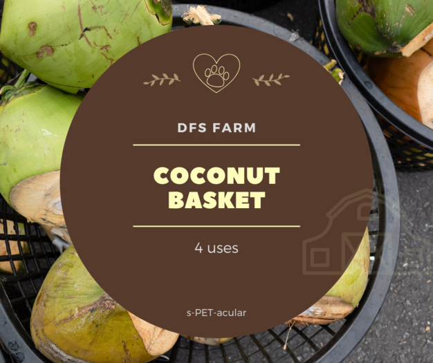 DFS Coconut Basket