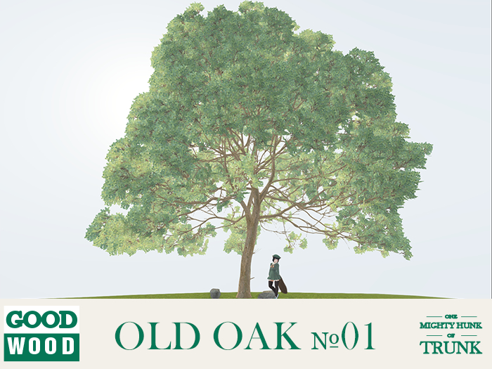 Goodwood - Old Oak 01