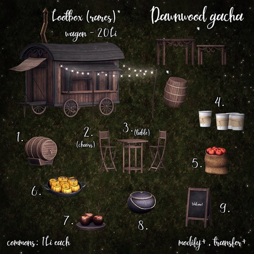 Raindale - Dawnwood rare - Lootbox