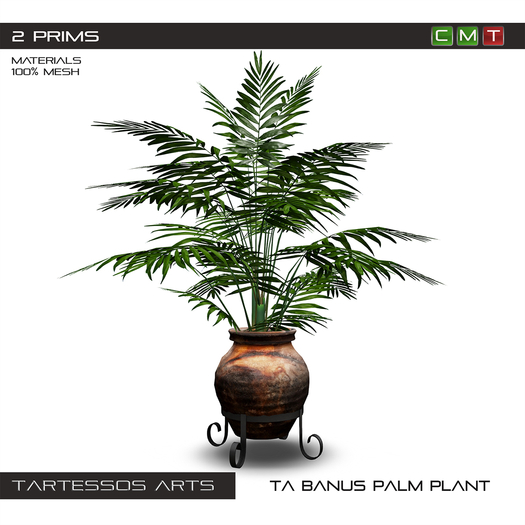 ::TA Banus Palm Plant - Copy