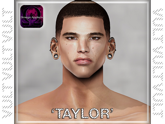 [VULT] TAYLOR OMEGA APPLIERS