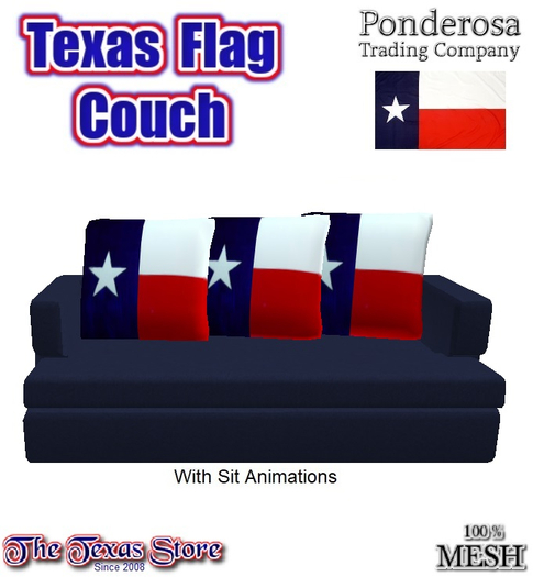 Texas Flag Couch