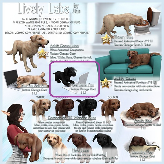 JIAN Lively Labs :: Thirsty Dog RARE