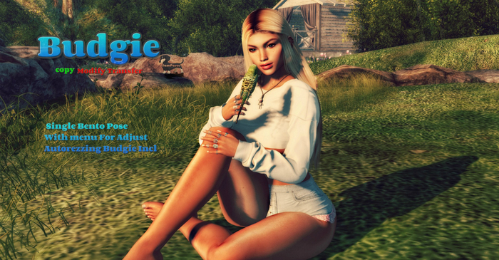 Budgie