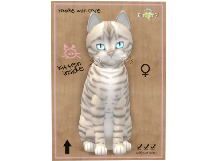 KittyCatS Box - 9 T - F - Toyger - Snow