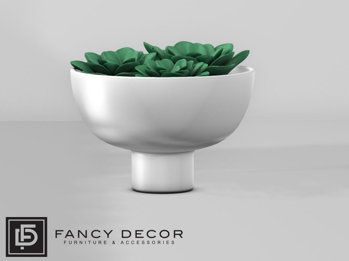 Fancy Decor: Henrik Potted Succulents