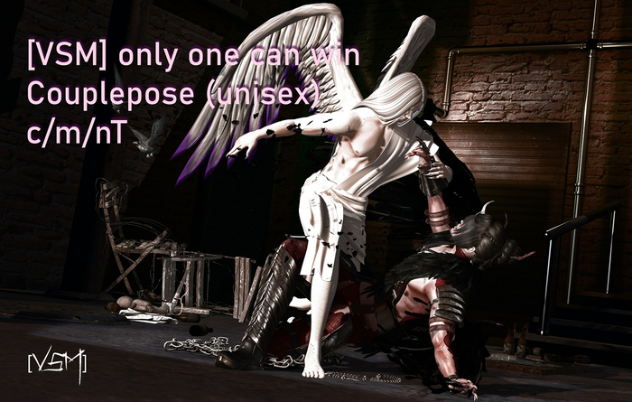 [VSM] Only one can win 