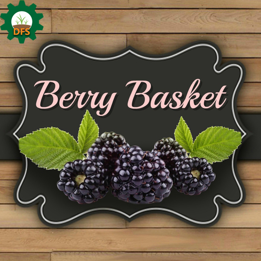 DFS BERRY BASKET X5