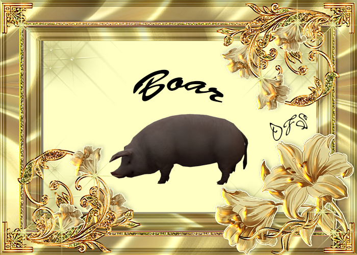 DFS Boar Textures
