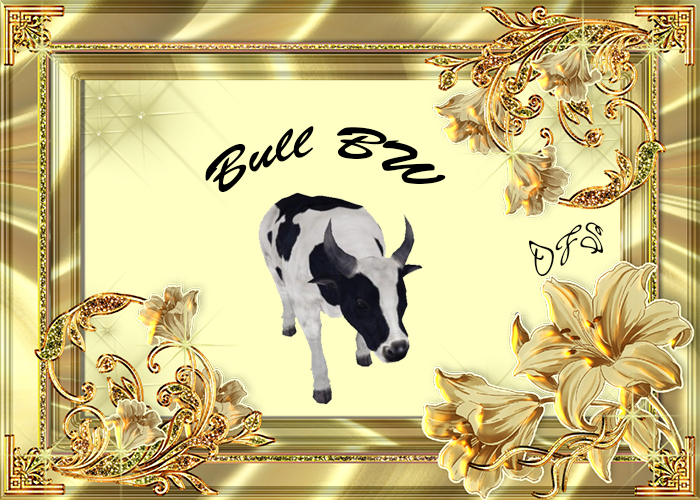 DFS Bull BW Textures