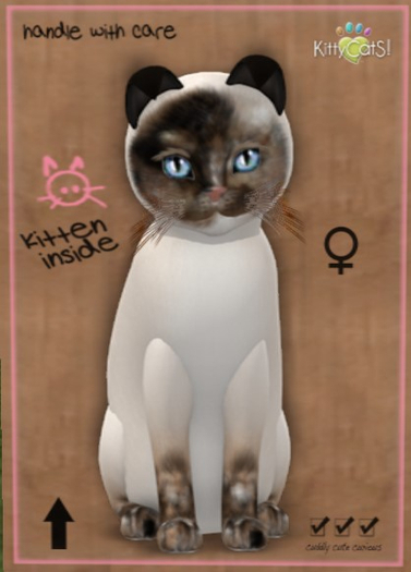 KittyCatS Box - Saidie