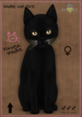KittyCatS Box - MP-Russian - Black-Bronze Foxie-G