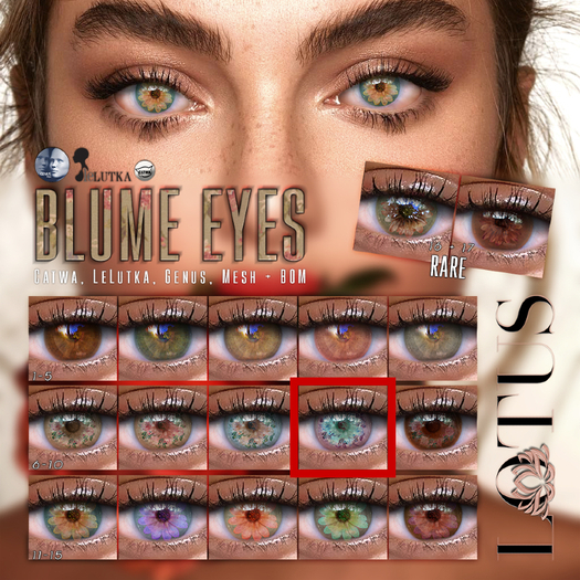 LOTUS. Blume Eyes 09 BOX
