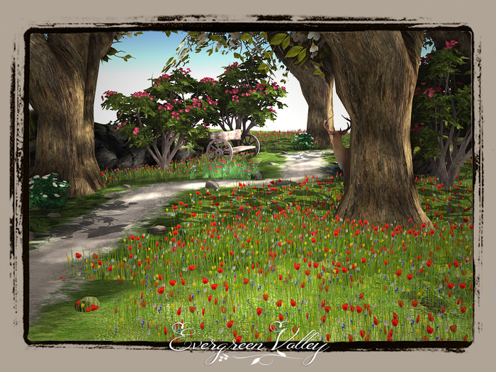 Evergreen Valley Pathway 1