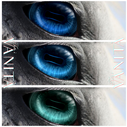 [Wear] Tutto E Vanita Cabochon Eyes Blue pack