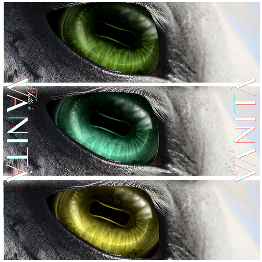 TEEGLEPET EYES: Cabochon green pack