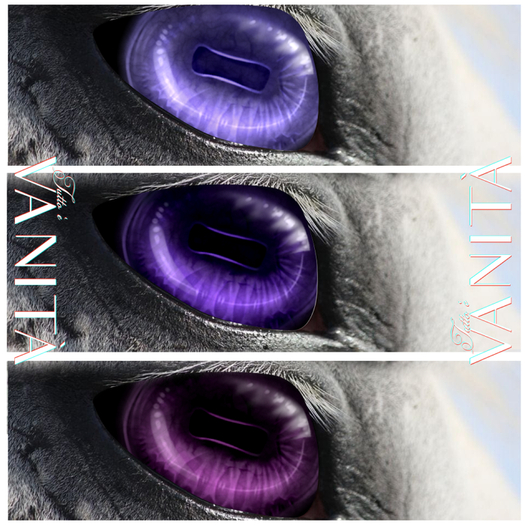 [Wear] Tutto E Vanita Cabochon Eyes Purple pack