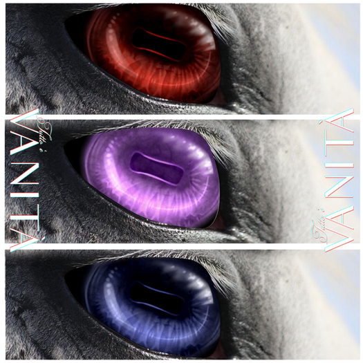 [Wear] Tutto E Vanita Cabochon Eyes remnant pack 1
