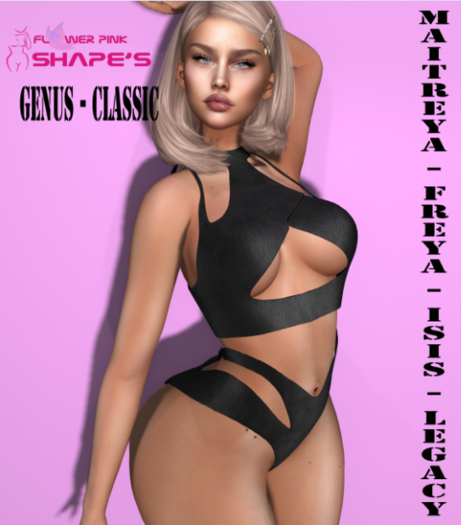 SHAPE PATTY - GENUS CLASSIC