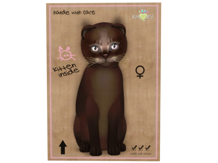 KittyCatS Box - 8 T - F - Abyssinian - Dark Chocolate