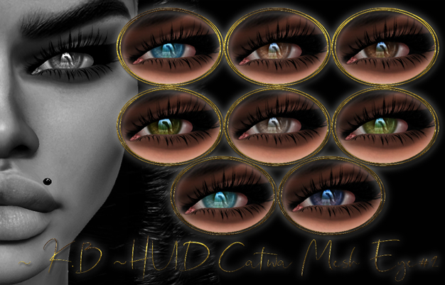 ~ K.B ~HUD Catwa Mesh Eye#2