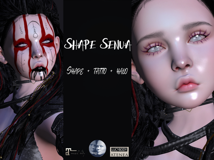 Senua Shape Nordic warrior