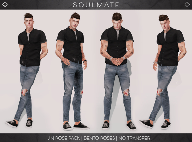 SOULMATE - Jin Pose Pack  [Add/Touch]