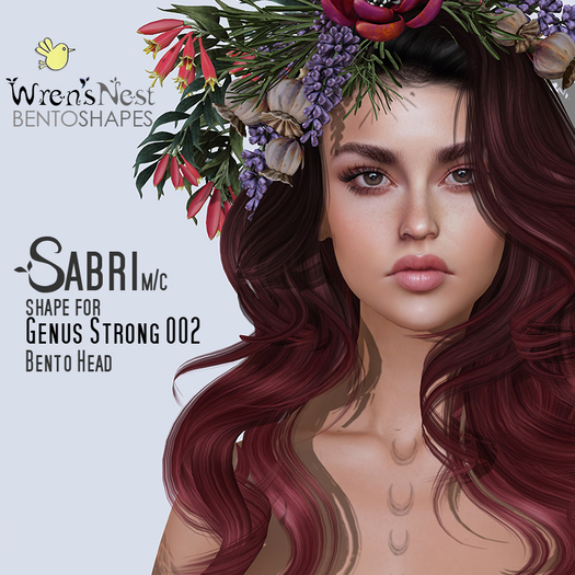 { wren's nest } Sabri Shape -Genus Strong 0002