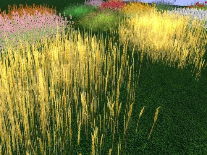 Field Flowers & Grasses