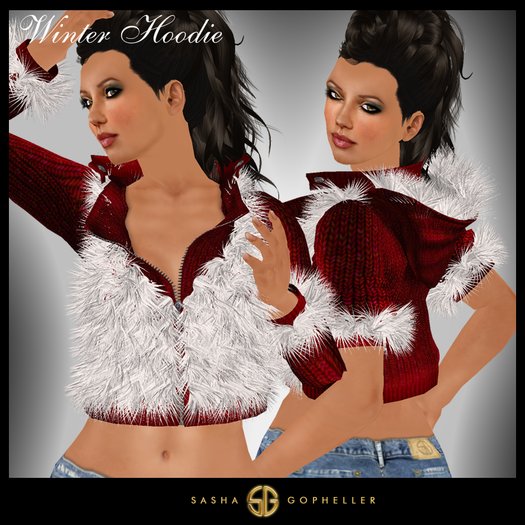 -SG- Winter Hoodie Santa