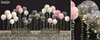 Tarte. garden balloons mp