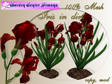 GCS_Iris in dirt group, red_002IH_4