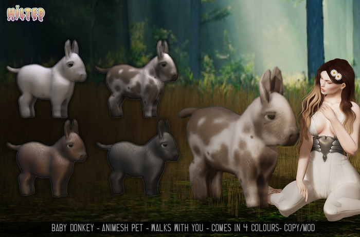 HILTED - Baby Donkey Pack (Add Me)