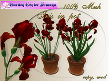 GCS_Iris in pot group, red_002IK_4