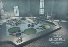 NOMAD // AQUAE SPADANAE Full Set inc RARE