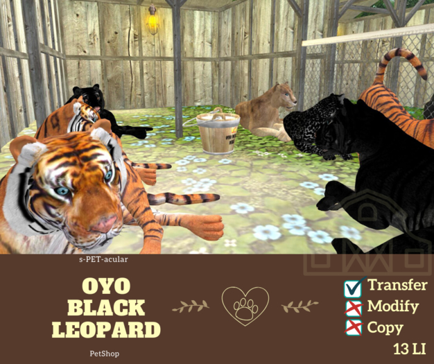 oYo Bundle - Female Black Leopard