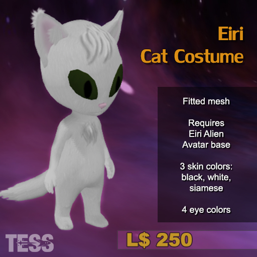 Eiri - Cat Costume